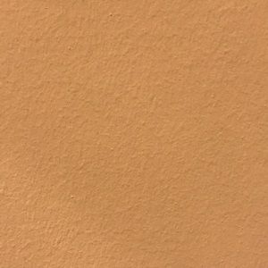 Meet your Posher, Chase